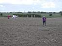 run1253-23.jpg